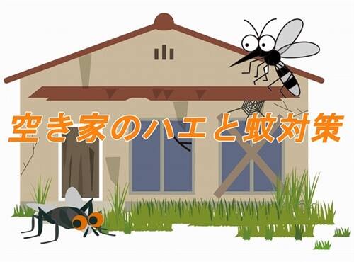 空き家のハエと蚊の対策